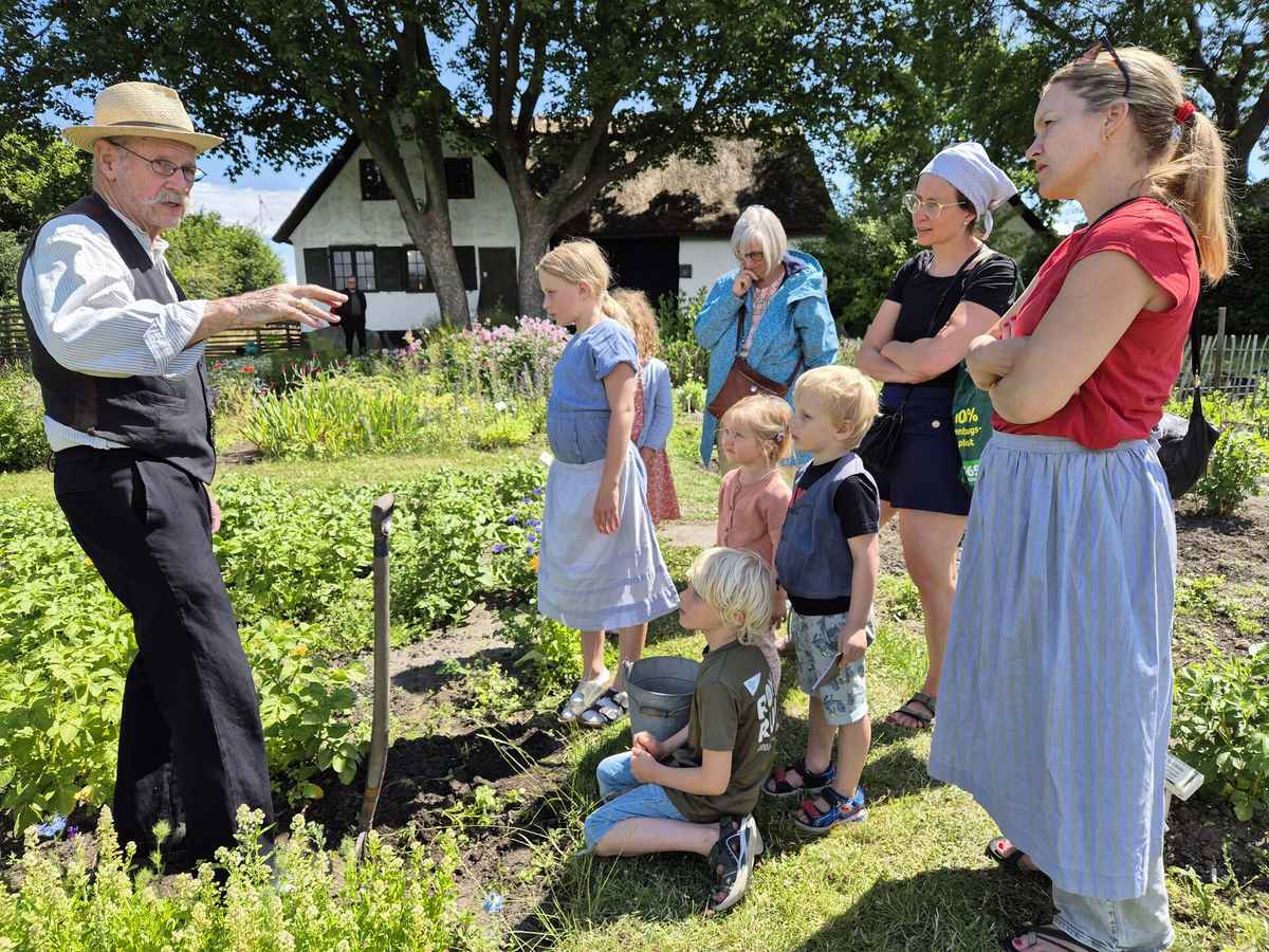 Tilbage til gårdlivet