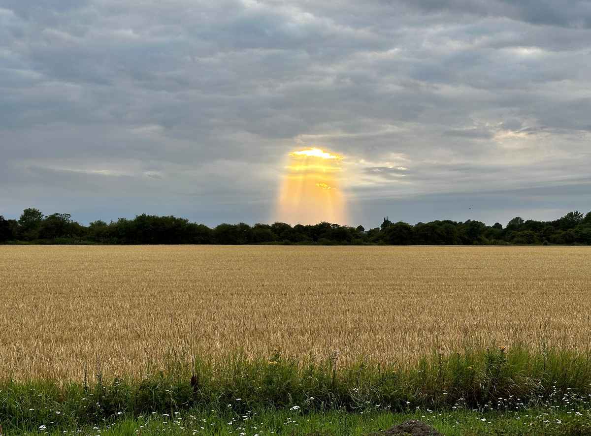 Læsernes sommerfotos