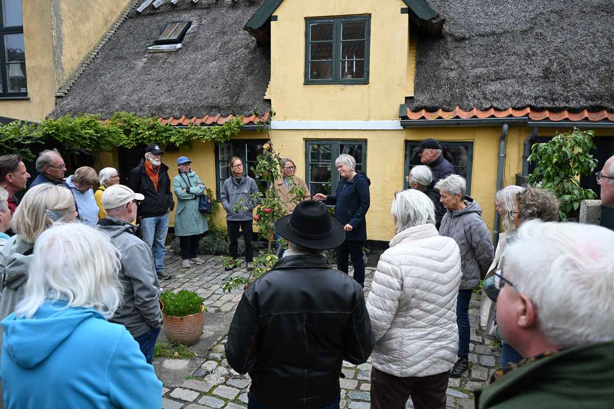 Kalk, kællingetand og kærlighed til Dragør