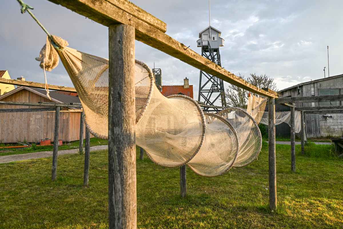 To fotografier deler titlen som årets sommerfoto