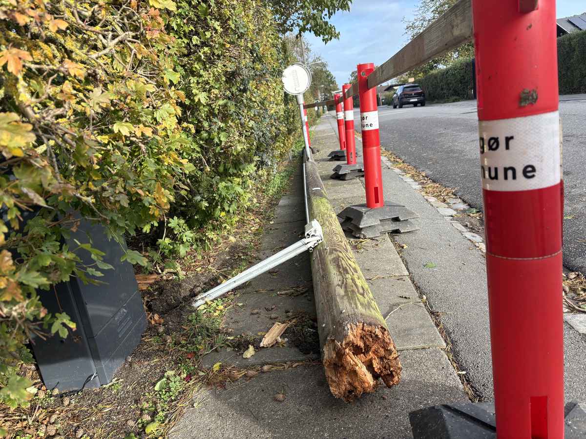 V&aelig;ltet lysmast Holl&aelig;nderv&aelig;nget. 